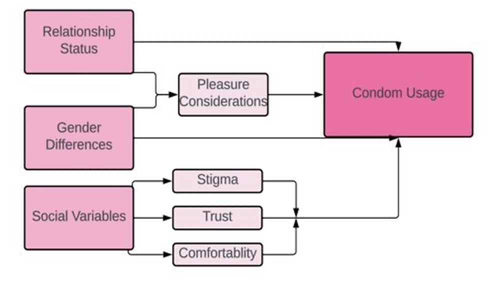 Figure 2: Students decision model regarding condom use